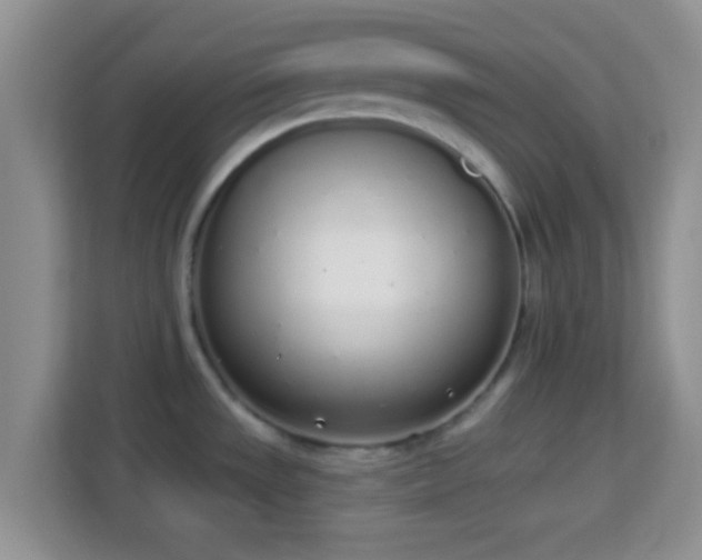 X0000114001533200910091352