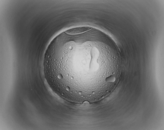 X0000114001534200910091352