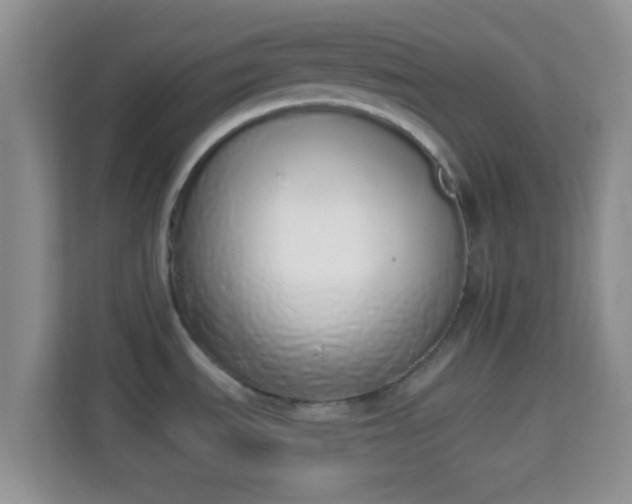 X0000114001535200910091352