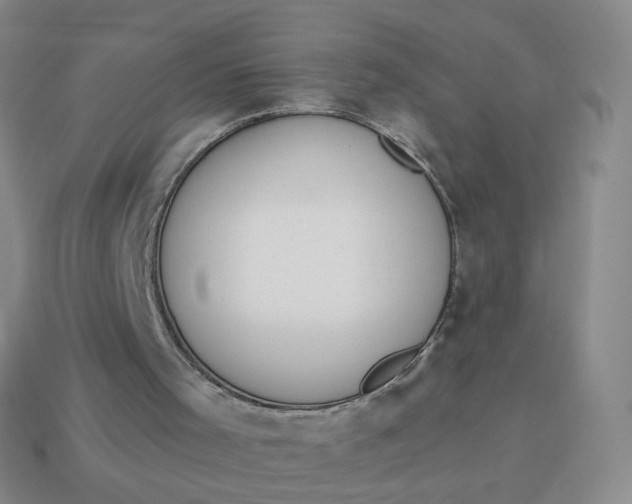 X0000114000001200910161720
