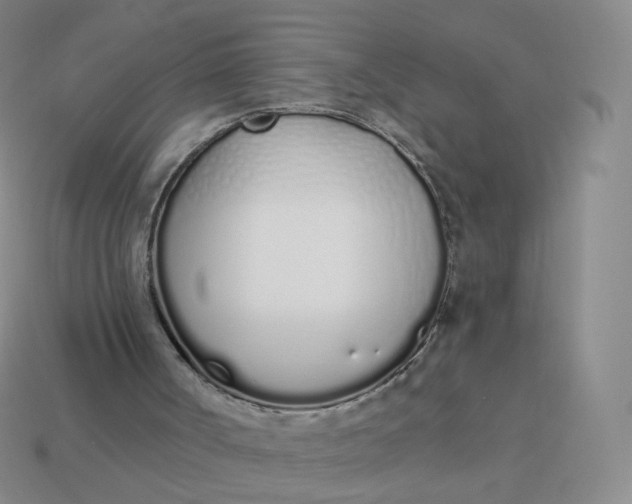 X0000114000002200910161720
