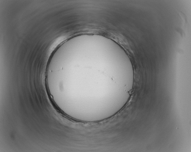 X0000114000003200910161720