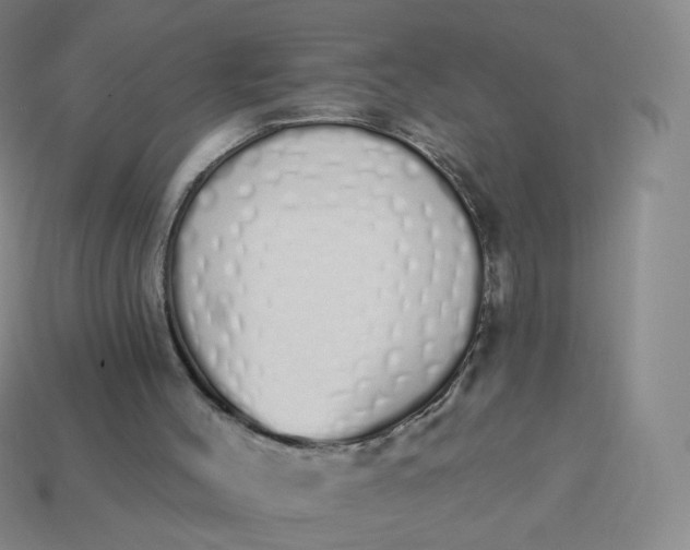 X0000114000004200910161720