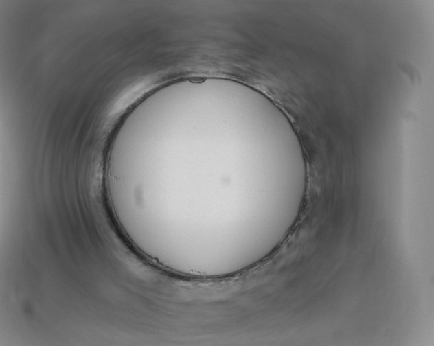 X0000114000005200910161720