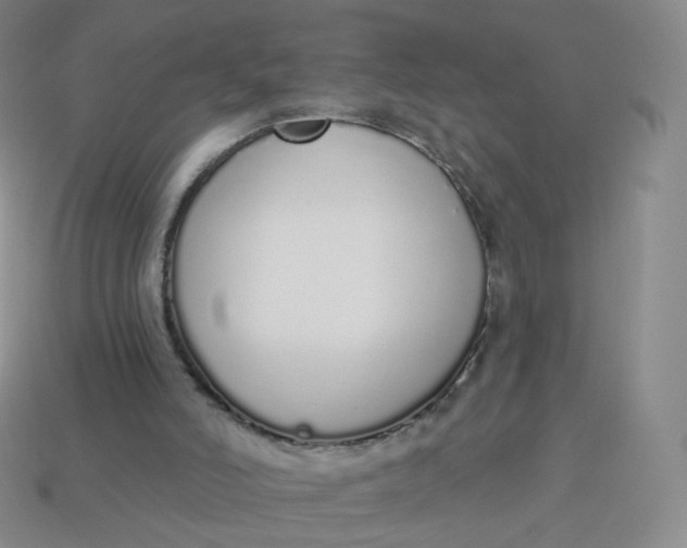 X0000114000006200910161720