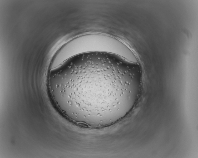 X0000114000007200910161720