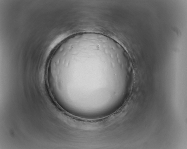 X0000114000008200910161720