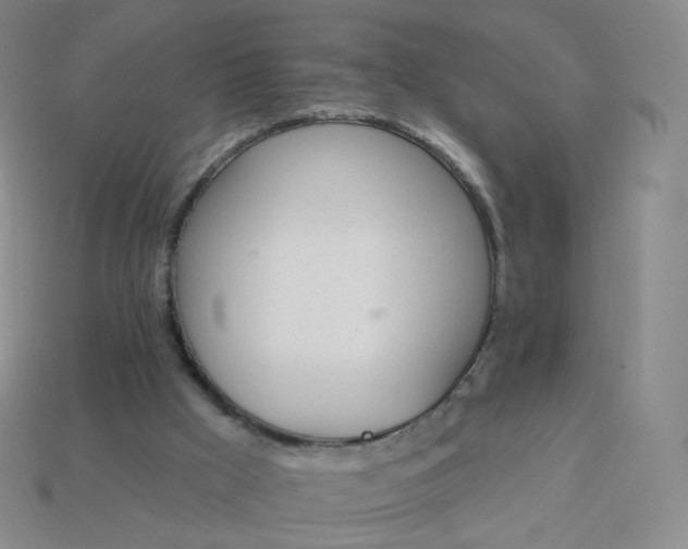 X0000114000009200910161720