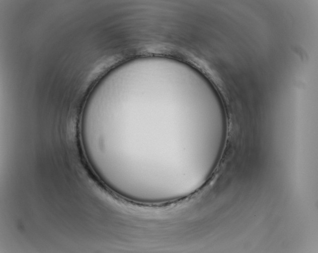 X0000114000010200910161720