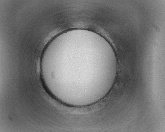 X0000114000011200910161720