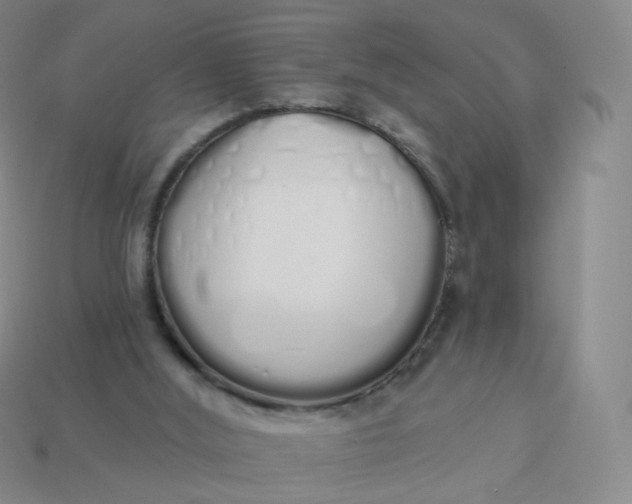 X0000114000012200910161720
