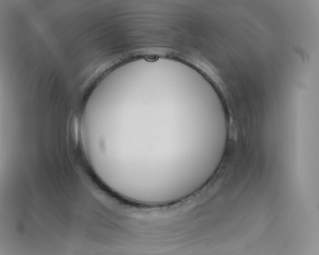 X0000114000013200910161720