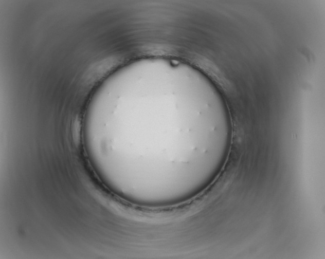 X0000114000014200910161720