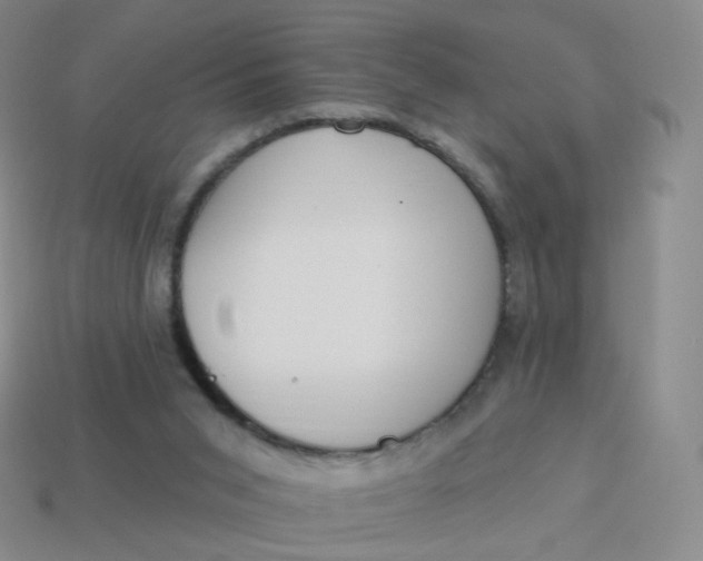 X0000114000015200910161720