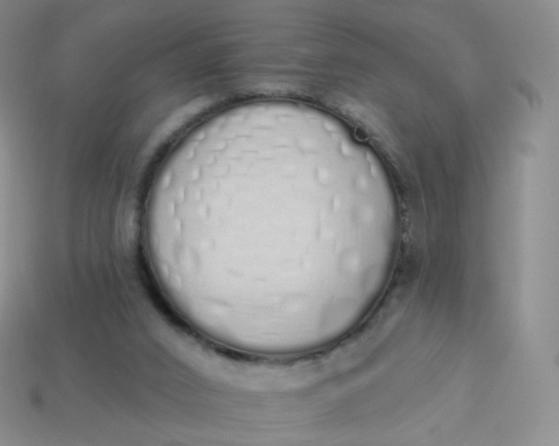 X0000114000016200910161720
