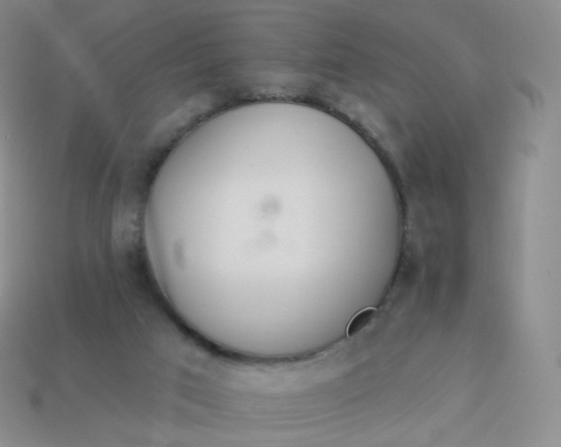 X0000114000017200910161720