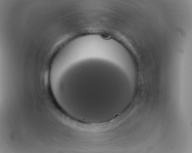 X0000114000019200910161720