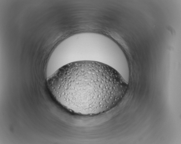 X0000114000021200910161720