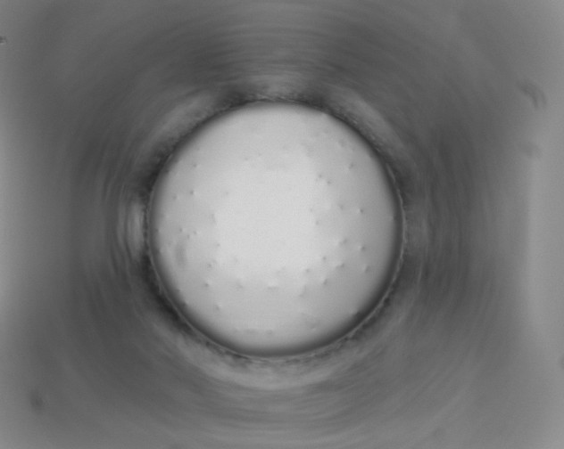 X0000114000022200910161720