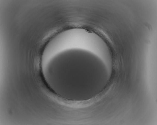 X0000114000023200910161720