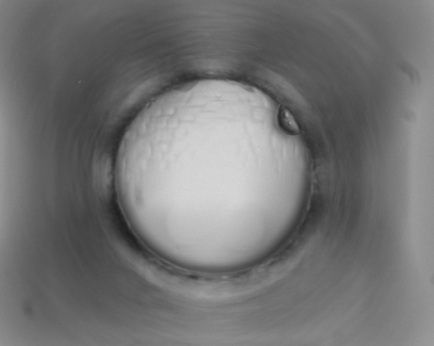 X0000114000024200910161720