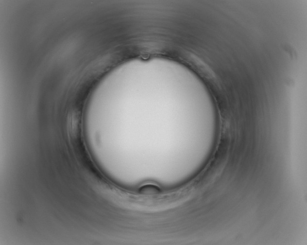 X0000114000026200910161720