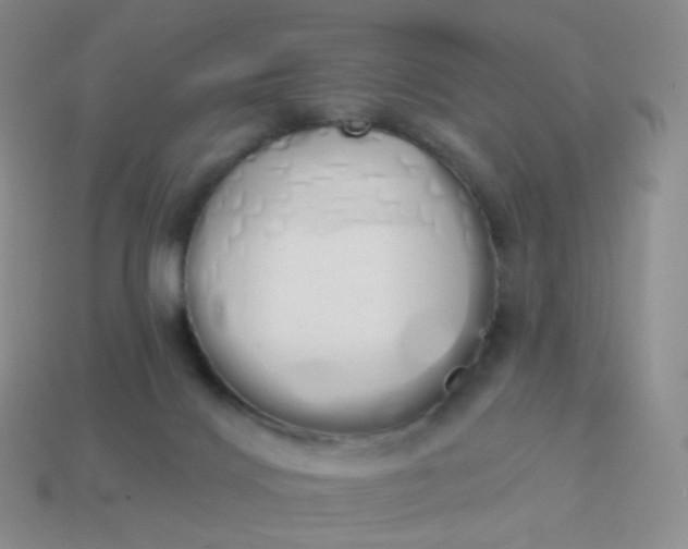 X0000114000028200910161720