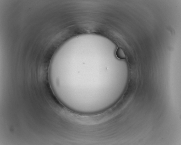 X0000114000030200910161720