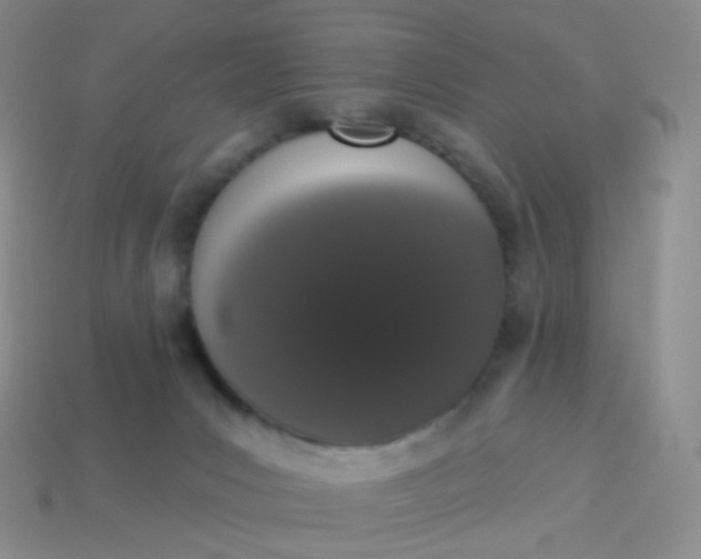 X0000114000031200910161720
