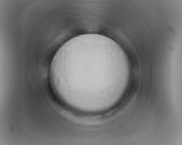 X0000114000032200910161720