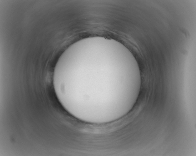 X0000114000033200910161720
