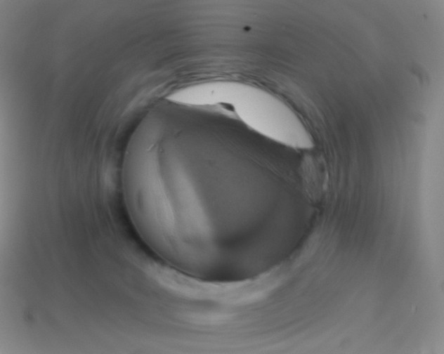 X0000114000035200910161720