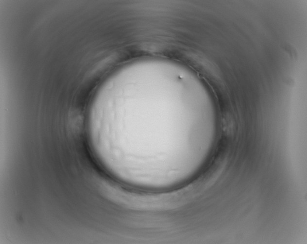 X0000114000036200910161720