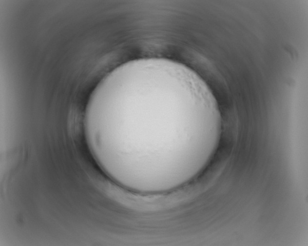 X0000114000038200910161719