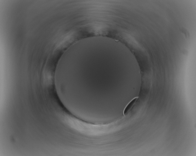 X0000114000039200910161719