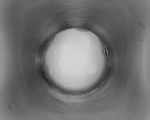 X0000114000040200910161719