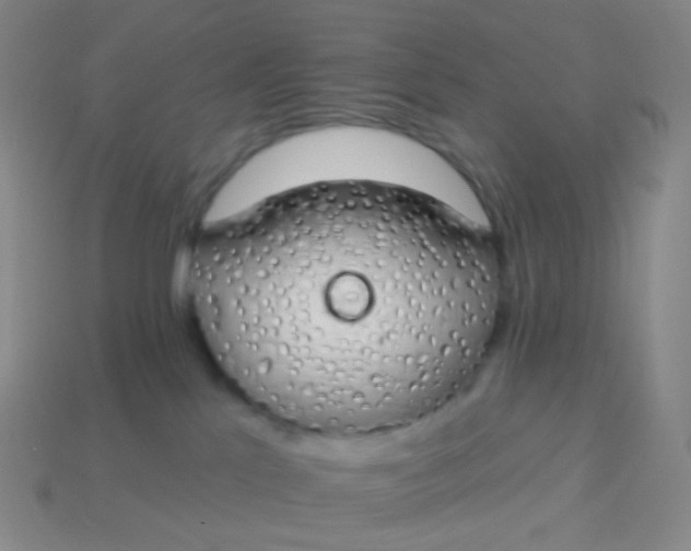 X0000114000041200910161719
