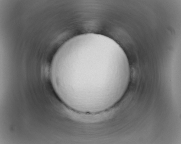 X0000114000042200910161719