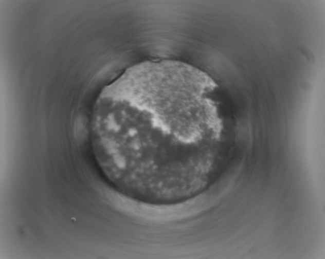 X0000114000043200910161719