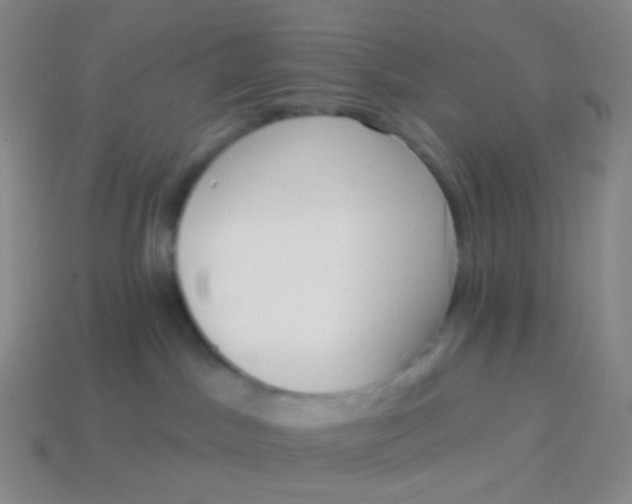 X0000114000045200910161719
