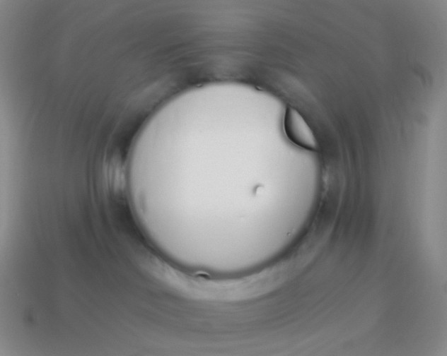 X0000114000046200910161719