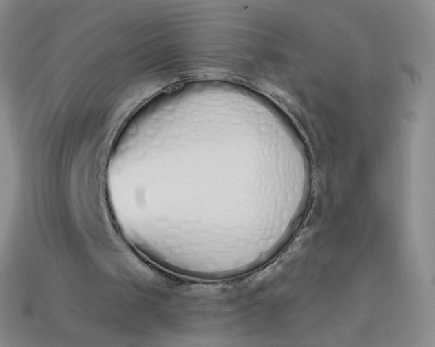 X0000114000049200910161719