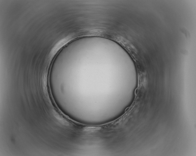 X0000114000051200910161719