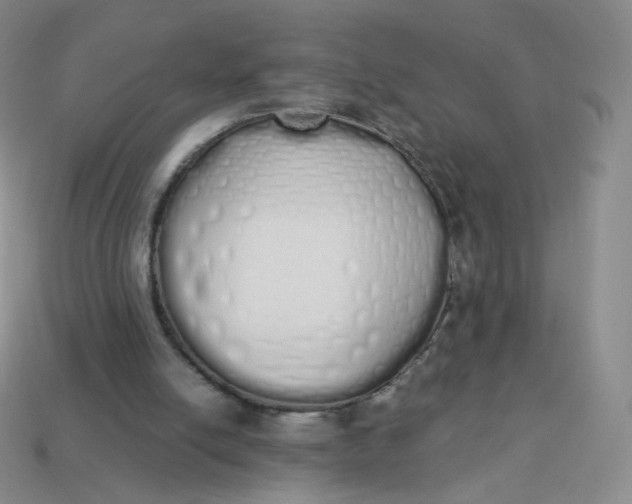 X0000114000054200910161719