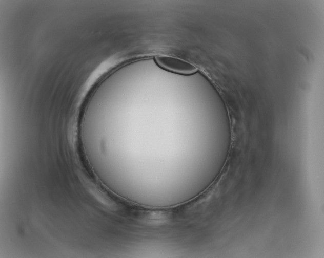 X0000114000056200910161719