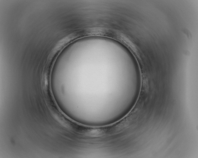 X0000114000059200910161719
