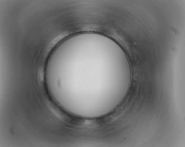 X0000114000060200910161719