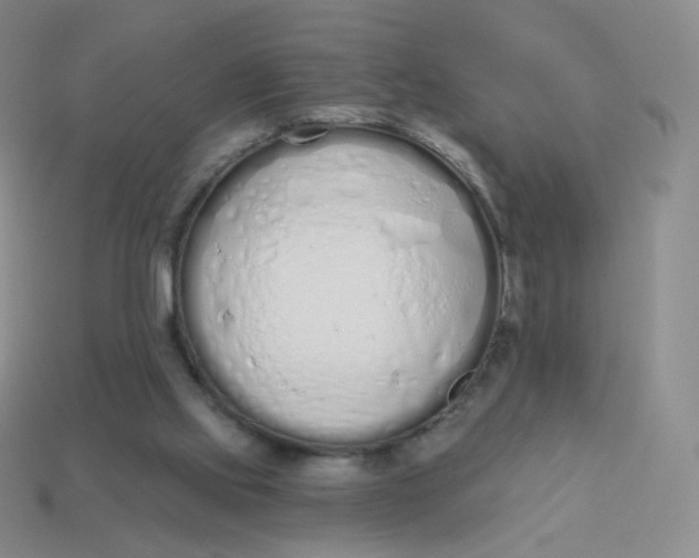 X0000114000061200910161719