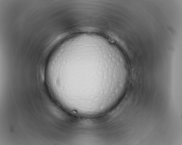 X0000114000062200910161719