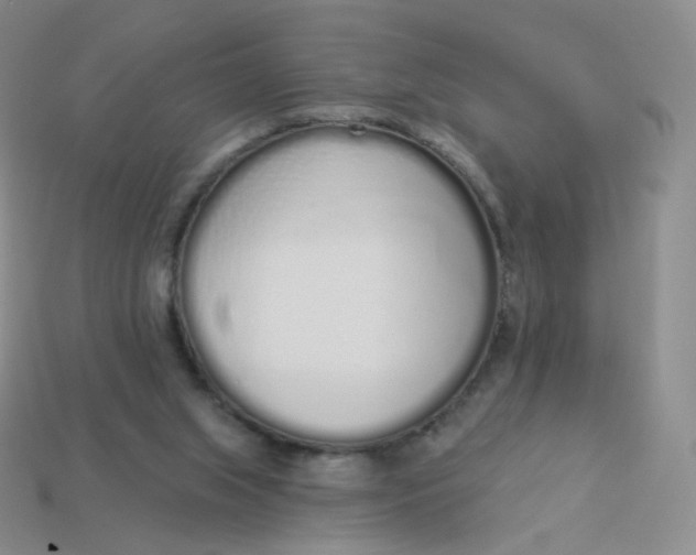 X0000114000063200910161719